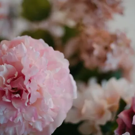 Hotell Bolivar San Benedetto del Tronto