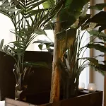 Hotell Bolivar San Benedetto del Tronto